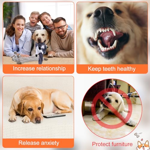 Outus 20 Pcs No Stuffing Dog Squeaky Toys Bulk for Aggressive Chewers, Crinkle Teething Chew Plush Toys for Small Medium Large Pet Gift, 20 Styles(Classic Style) - style: Classic Style
