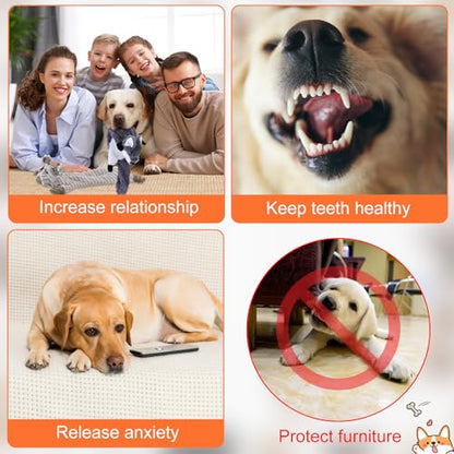 Outus 20 Pcs No Stuffing Dog Squeaky Toys Bulk for Aggressive Chewers, Crinkle Teething Chew Plush Toys for Small Medium Large Pet Gift, 20 Styles(Classic Style) - style: Classic Style