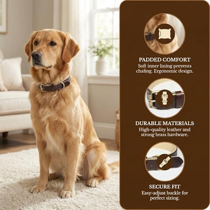XanYu Premium Genuine Leather Dog Collar – Adjustable Heavy Duty Pet Collar with Sturdy Brass Buckle, Soft Padded & Stylish for Puppy and Small, Medium, Large Dogs (Brown)