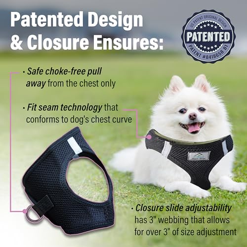 Choke Free Reflective Step in Ultra Harness - Black American River (XS) - color: Black, size: X-Small