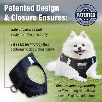 Choke Free Reflective Step in Ultra Harness - Black American River (XS) - color: Black, size: X-Small