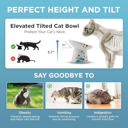 Necoichi Elevated Cat Food Bowl, Ceramic (Porcelain),15° Tilted, Whisker-Friendly, Dishwasher, Microwave Safe, Non-Slip, Anti-Vomiting, Neck Fatigue (Fuji, Extra Wide Tilted, 1.5-Cups Capacity) - color: Fuji, size: Large Extra Wide Tilted (1.5 Cups)