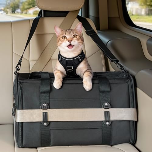 PETSFIT Large Cat Car Carrier with Patented Safety Buckles(19 x 12 x 12) – Roomy Escape-Proof for Safe Driving, Lockable Zippers & Safety Tether, Soft-Sided Travel Carrier for Road Trips & Vet Visits - color: Black, size: Large