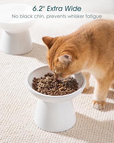 vancasso Elevated Cat Bowls 2-Pack, Ceramic Raised Cat Food and Water Dishes with 5.1" Height & 6.2" Wide Opening - Anti Vomit, Whisker Fatigue Relief for Senior Cats, and Small Dogs (White) - color: White