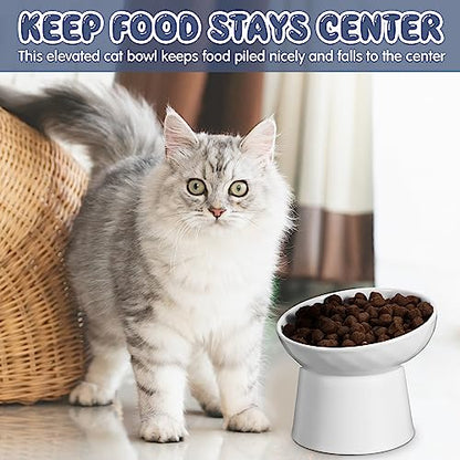 Tanlade 4 Pcs Ceramic Raised Cat Bowls, Elevated Tilted Cat Bowl for Food Water, Stress Free, Backflow Prevention, Dishwasher Microwave Safe, Feeder Dish for Indoor Kitten, Small Dogs(White and Grey) - color: White and Grey