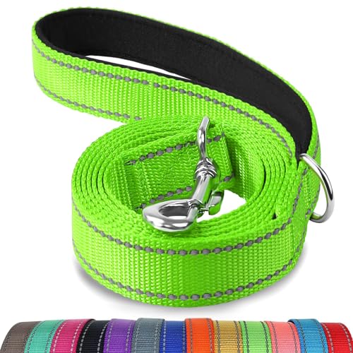Joytale Dog Leash, 4 FT Double-Sided Reflective, Padded Handle Nylon Heavy Duty Leashes for Small Dogs Walking, Green - color: Green, size: 4 ft Narrow