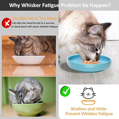 Ceramic Cat Bowls, Shallow Cat Dishes for Food and Water, 6 Inch Matte Finish Wide Cat Food Bowl, Whisker Fatigue Free Pet Puppy Kitten Bowl Set of 3, Dishwasher Safe - color: Blue-3pack