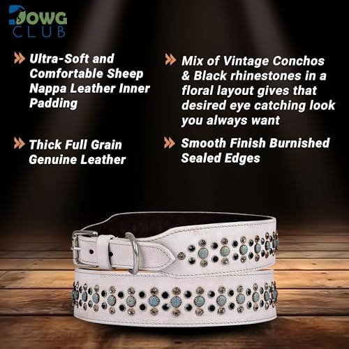 Genuine Leather ‘Cupola’ Series White Dog Collar | Rhinestone | Soft, Cushion Padding, Handmade | Best for Medium, Large, XL Breeds(XL (Neck Size 22.5"-25.5"), White, Antique Copper Conchos) - color: White, Antique Copper Conchos, size: XL (Neck Size 22.5