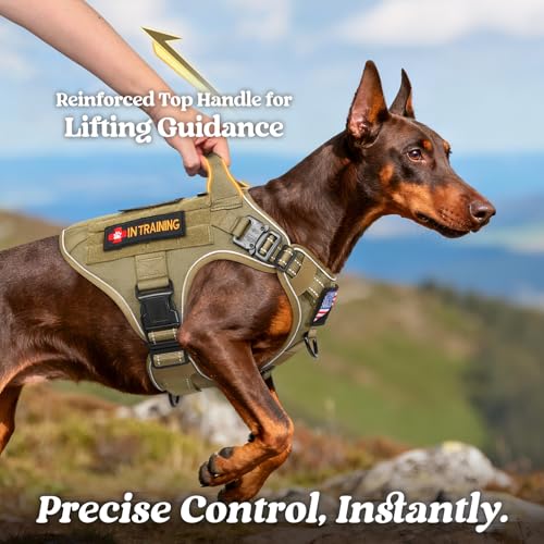 rabbitgoo Tactical Dog Harness Small Sized, No Pull Upgraded Reflective Heavy Duty Molle Vest with Handle, Adjustable Military Service Dog Vest for Walking Hiking Training, Brown, S - color: Brown Reflective, size: Small