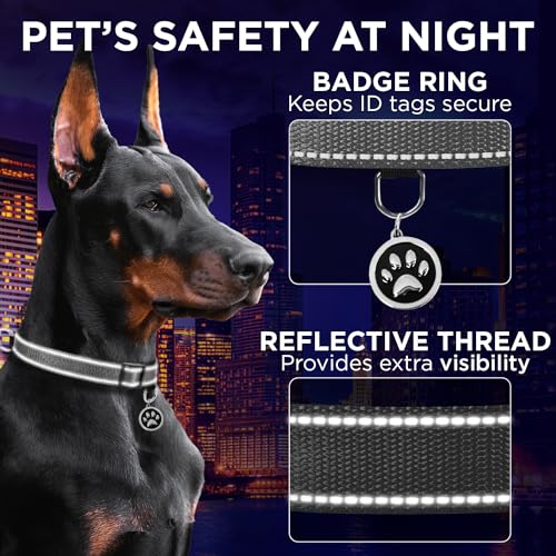 TECEUM Reflective Dog Collar – Gray – XL – Extra Soft Padding – Basic Nylon Pet Collar – Quick Release Buckle – Fits Small, Medium and Large Dogs, Puppies, Cats – ESA & Service Dog Options - color: Gray, size: X-Large