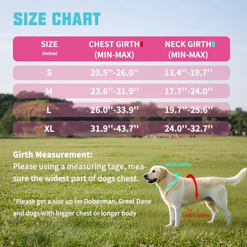 AUROTH Dog Harness and Leash Set, Soft Padded Service Dog Vest with 5.25FT Dog Leash, No Choke, Easy On Pet Vest, Adjustable Reflective No Pull Dog Harness Small Sized Dog, Easy Walking and Training - color: Rose Red, size: Small