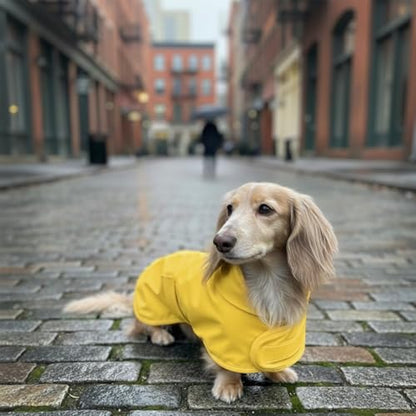 Dachshund Raincoat - Waterproof & Windproof Dog Jacket for Long Weiner Dogs, Adjustable Fit, Harness Hole - Yellow, Medium - size: Medium