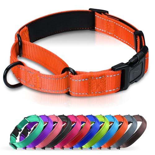 Martingale Collar for Dogs with Quick Release Buckle, Reflective Soft Padded & Escape Proof, Adjustable Nylon Dog Collars for Training & Daily Walking (Orange,XS) - color: Orange, size: XS:width 5/8"neck 10.5-12"
