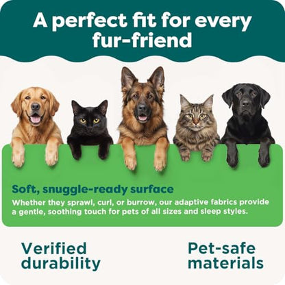 FurHaven Orthopedic Dog Bed for Large/Medium Dogs, Luxe Lounger Contour Mattress with Medical-Grade Solid Orthopedic Foam for Joint Support, Removable Washable Cover, Large, Plush Suede, Cream