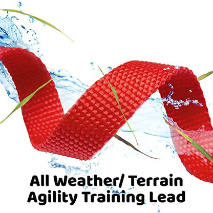 Long Dog Puppy Obedience Recall Training Agility Lead, Leash - RED, 30' Foot - by, Downtown Pet Supply - color: Red, size: 30 Foot