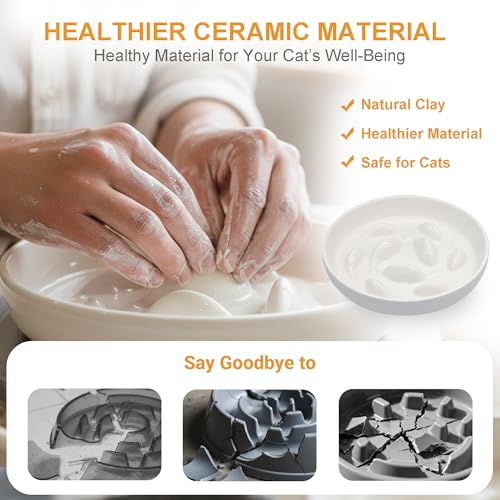 Anti-Bloat Ceramic Slow Feeder Bowl - Fish Pool Design Interactive Puzzle Feeder for Cats & Small Dogs, Food-Safe Porcelain Healthy Eating Dish (White-Ceramic) - color: White-Ceramic