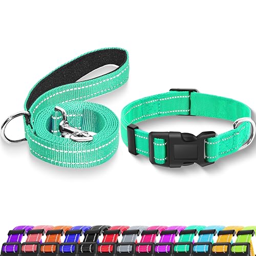 Reflective Dog Collar with Safety Locking Buckle, Adjustable Soft Breathable Nylon Collars for Small, Medium and Large Dogs(Collar+Leash XS Width 3/8" Turquoise) - color: Turquoise, size: XX-Small (Width 3/8")