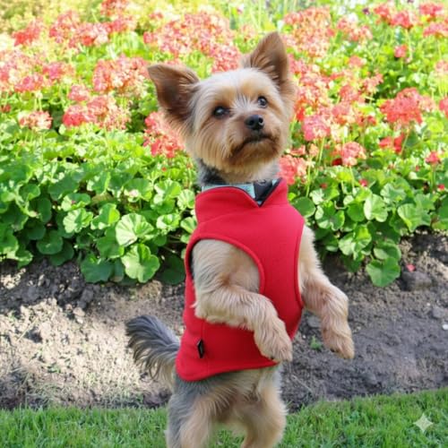 JACKO & CO - Fleece Vest Dog Sweater with Leash Ring - Soft, Warm & Lightweight Pullover Coat for Small & Medium Dogs, Puppies & Cats - Cozy Fall/Winter/Spring Pet Jacket (Red, Small 4-6lbs) - color: Red, size: S (4-6lbs)