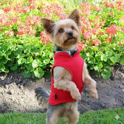 JACKO & CO - Fleece Vest Dog Sweater with Leash Ring - Soft, Warm & Lightweight Pullover Coat for Small & Medium Dogs, Puppies & Cats - Cozy Fall/Winter/Spring Pet Jacket (Red, Small 4-6lbs) - color: Red, size: S (4-6lbs)