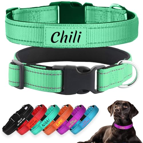 Personalized Dog Collars, Reflective Nylon Custom with Pet Name and Phone Number,Adjustable 5 Sizes and 3 Fonts Soft Neoprene Padded Dog Collar for Boy Girl Puppies Dogs,Teal - color: Teal