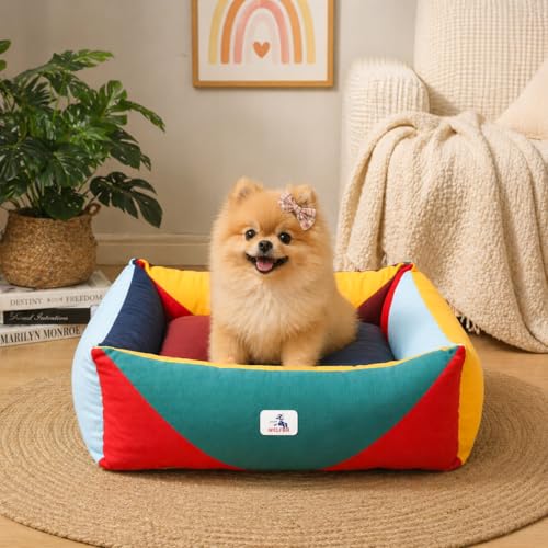 Cotton Canvas Dog Bed, Cute Dog Beds for Small Dogs, Puppy Bed with Washable Removable Cover, Durable 290 GSM Cotton Anti-Chewing Pet Bed with Anti-Slip Bottom (24"x20"x8", Red&Yellow&Green) - color: Red+Green+Yellow, size: Small