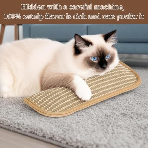 Catnip Toys - Catnip Pillows for Cats,Soft Sisal Indoor Kitten Scratching & Kicker Toys, Teeth Cleaning Catnips Pillow for Kittens & Indoor Cats with Drives Bored Cat Crazy,3Pcs - size: L