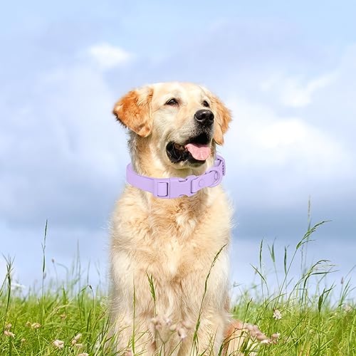 Waterproof Dog Collar Soft Rubber Dog Collar with Safety Buckle Adjustable Pet Collars for Small Medium Large Dogs - color: purple, size: S