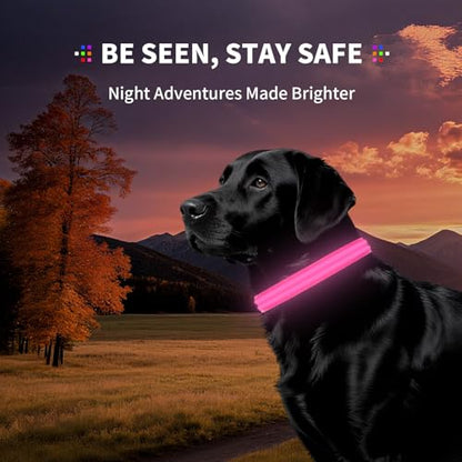 Dog Light up Collar for Night Walking - High Visibility LED Dog Collar - Rechargeable - Waterproof - Reflective - Adjustable Lighted Glow Collars(Pink, Large) - color: Pink, size: Large (18" - 23")