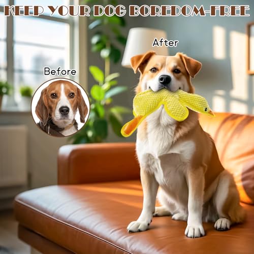 No Stuffing Dog Squeak Toys- Chew Toys for Small Medium Large Breed- Durable Puppy Teething Interactive to Keep Them Busy- Best Birthday Gift(Yellow Duck) - color: Yellow