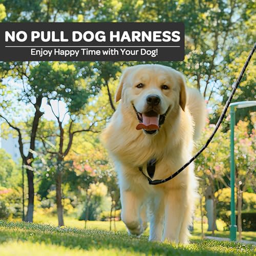 Plaid Dog Harness for Large Dogs, Reflective No Pull Adjustable Pet Vest with Front Clip, Leash, Easy Control Handle and Seat Belt, Beige&White, XL - color: Black & White, size: X-Large