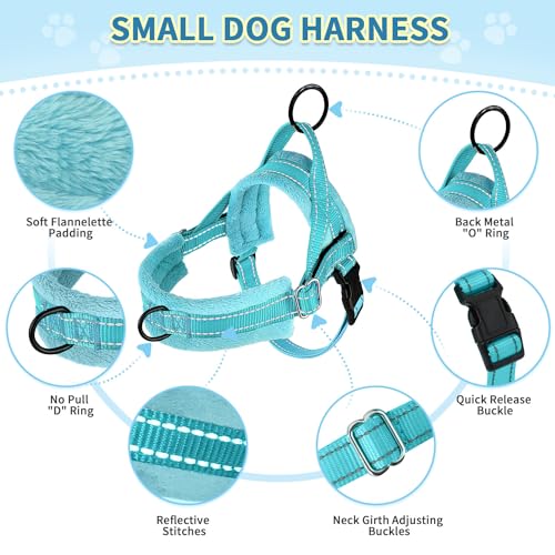 SlowTon No Pull Small Dog Harness and Leash Set, Puppy Soft Vest Harness Neck & Chest Adjustable, Reflective Lightweight Harness & Anti-Twist Pet Lead Combo for Small Medium Dogs(BL-Front Clip,S) - color: B-Teal - With Front Clip, size: Small