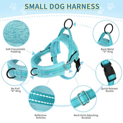 SlowTon No Pull Small Dog Harness and Leash Set, Puppy Soft Vest Harness Neck & Chest Adjustable, Reflective Lightweight Harness & Anti-Twist Pet Lead Combo for Small Medium Dogs(BL-Front Clip,S) - color: B-Teal - With Front Clip, size: Small