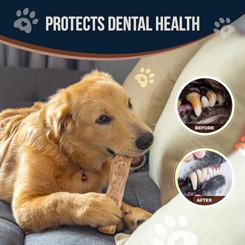 Coffee Wood Dog Chew and Natural Cotton Rope Toy for Regular Chewers - 100% Organic Wood Stick for Dog - Teeth Cleaning - Size L - size: Large