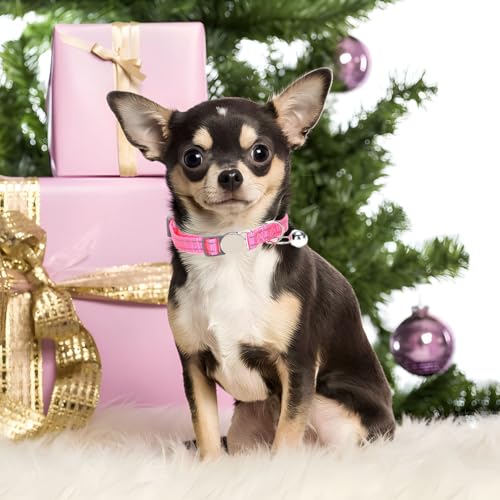Green Cat Collar with Bell, Reflective Soft Nylon Break Away Kitten Collars with Bells, Male Puppy Collars for Xs Small Tiny Little Boy Pet Dogs, Neck 7-11 Inch - color: Green