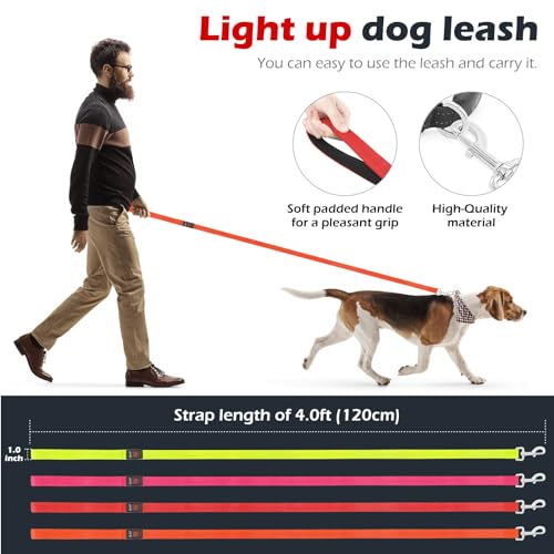 LED Dog Leash Light Up 4 Feet Micro USB Rechargeable Nylon Webbing Glow Safety Standard by Bpawser (Red) - color: Red, size: 4 Feet