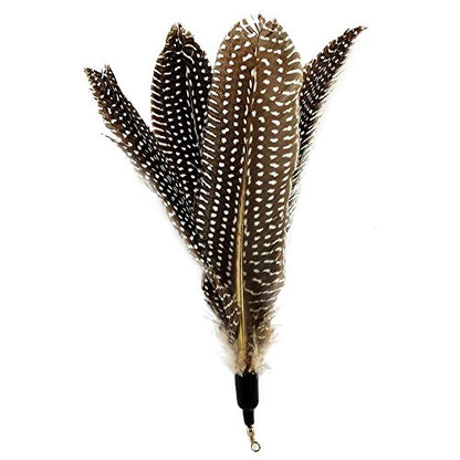 Pet Fit for Life Multi Piece Replacement Feathers Pack Plus Bonus Soft Furry Tail for Interactive Cat and Kitten Toy Wands… - style: 5 Feathers, 1 Tail