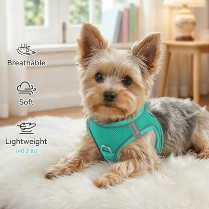 Joytale Small Dog Harness, Breathable Mesh Step-in Vest, Reflective Soft Padded Harnesses for Cats, Puppies and Extra Small Dogs, Teal, XXS - color: Teal, size: XXS--Chest: 12-13.5''