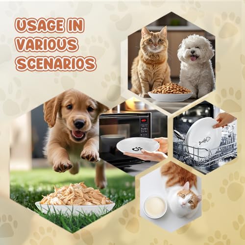 Andaliz 5.7 inch Ceramic Cat Food Bowl Set (6-Piece) - Shallow Dishes for Wet Food & Water, Whisker Fatigue Cat Plates, Kitten Saucers for Indoor Cats