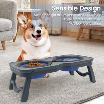 PINVNBY Elevated Portable Dog Bowl, Travel Raised Stand with Collapsible Silicone Double Diner Bowls Non-Slip Food and Water Bowls Holder for Small Dogs and Cats - 14.6" L x 7.5" W x 3.9" H