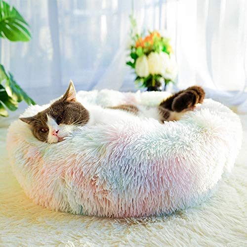 otoez Kitten Puppy Bed Extra Small XS Round Dog Cat Beds Anti Anxiety Plush Pet Calming Donut Bed with Non-Slip Waterproof Bottom, Washable (15.7", Rainbow) - color: Rainbow, size: 15.7"