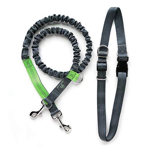 Mighty Paw Hands Free Dog Leash | Bungee Waist Leash for Dog Walking. Pet Running Hands Free Tether for Large, Medium & Small Breeds. Pet Waist Belt (36" - 48") Up to 150 lbs - Gray - color: Grey, size: 48"
