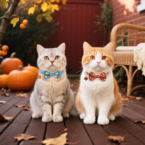 Breakaway Cat Collar Thanksgiving 2 Pack - Fall Pumpkin & Turkey Bow Tie with Bell, Safe Adjustable Kitten Collars for Holiday, Fits Cats and Small Puppies - color: Maple Leaf
