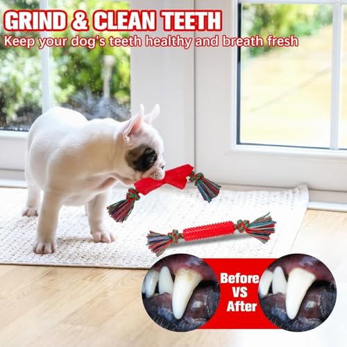 BINGPET 8 Pack Dog Rope Toys for Small to Medium Dogs, Interactive Dog Toys for Teething, Tug of War, Training - color: Red