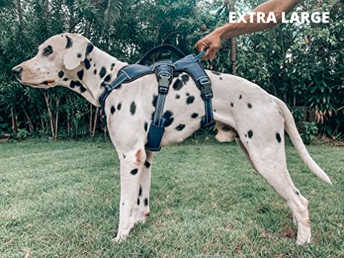 Tuff Pupper Escape Proof No Escape Dog Harness | 5 Point Adjustable Fit Harness for Dogs | Padded Dog Harnesses | Handle Dog Lift Harnesses - color: Midnight Blue, size: X-Large