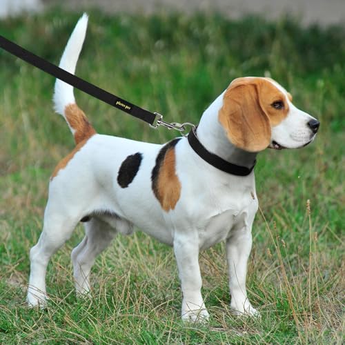 Plutus Pet Cotton Hemp Dog Collar and Leash Set, Adjustable Collar for Small, Medium, and Large Dogs, Heavy Duty and Soft on Skin, Black, S - color: Black, size: Small