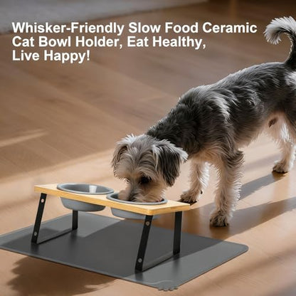 LEAWALK Upgraded Adjustable Height Cat Food Bowls Stand Ceramic Dog Bowls and Slow Feeder Cat Bowl, 15°Tilted Stand Anti Vomiting Raised for Small and Medium Sized Cats Dogs (Grey (2 Bowl+Pet mat)) - color: Grey ( 2 Bowl+Pet mat)