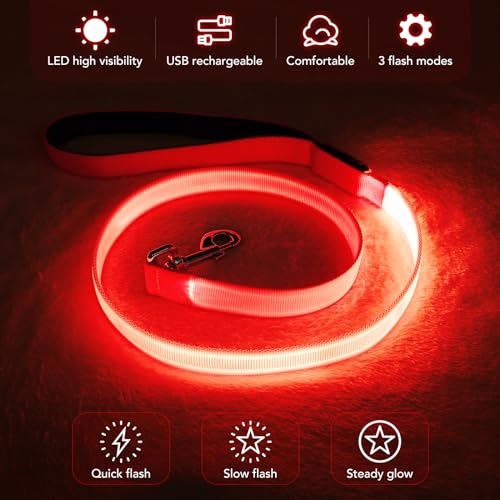 LED Dog Leash Light Up 4 Feet Micro USB Rechargeable Nylon Webbing Glow Safety Standard by Bpawser (Red) - color: Red, size: 4 Feet