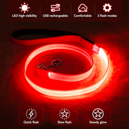 LED Dog Leash Light Up 4 Feet Micro USB Rechargeable Nylon Webbing Glow Safety Standard by Bpawser (Red) - color: Red, size: 4 Feet