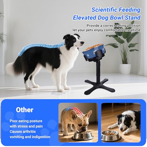 Dog Bowls Elevated Adjustable Stand, Raised Bowl with 3 Heights & Tilted Feeding Stand, Compatible with Various Bowls, for Medium & Large Breeds(with Bowl) Black - size: With Bowls