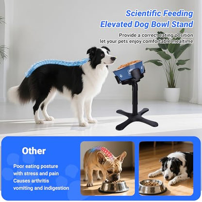 Dog Bowls,Elevated Adjustable Dog Bowl Stand with 3 Heights & Tilted Feeding Design, Raised Stand Compatible with Medium & Large Breeds(2 Pack) Black - size: B - Dog Bowls Stand 2 Pack